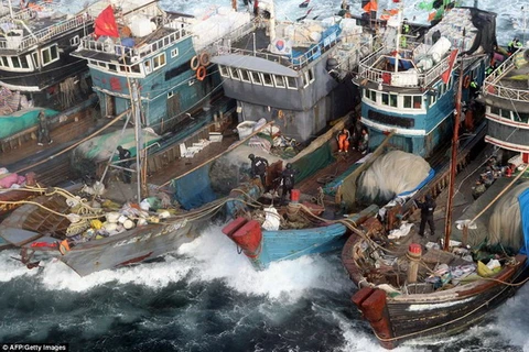 Mỗi năm Hàn Quốc thiệt hại 1 tỷ USD vì Trung Quốc đánh cá