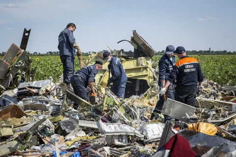 Điều tra về vụ máy bay MH17 sẽ kéo dài thêm 9 tháng