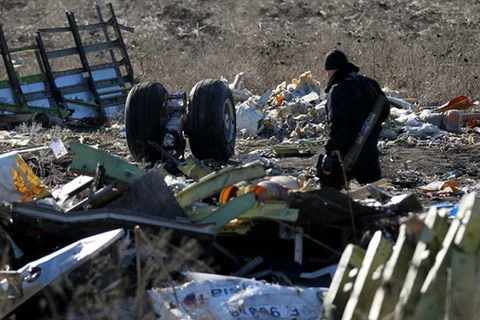 Thân nhân của hành khách MH17 kiện chính quyền Ukraine