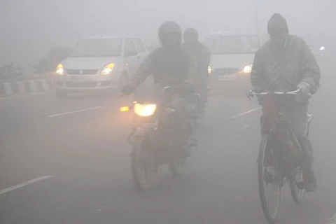 Ấn Độ: Hoạt động giao thông tê liệt vì giá lạnh và sương mù