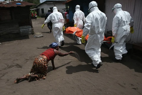 Tổ chức y tế thế giới: 8.235 người tử vong vì dịch Ebola