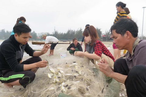 Nhiều ngư dân Nghệ An trúng "lộc biển" đầu năm mới