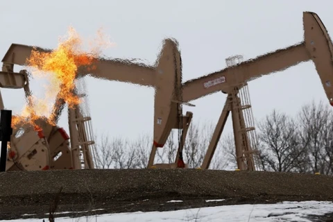OPEC lên kế hoạch thiết lập liên minh để bình ổn thị trường dầu