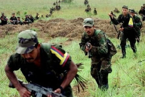 Chính phủ Colombia và lực lượng FARC bắt đầu rà phá bom mìn 