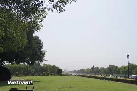Cây xanh bạt ngàn ở khu vực India Gate. (Nguồn: Minh Lý/Vietnam+)