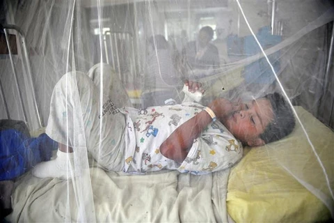 Trẻ em mắc sốt xuất huyết được điều trị tại bệnh viện ở Guatemala City, Guatemala. (Nguồn: AFP/ TTXVN)