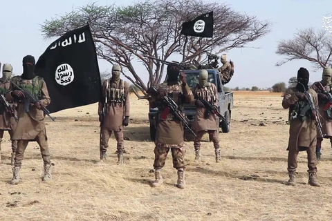 IS thừa nhận tiến hành các vụ tấn công ở Đông Bắc Nigeria