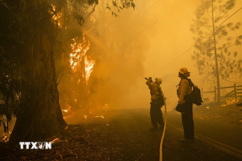 Mỹ: Bùng phát các đám cháy rừng mới ở bang California