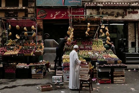 Kinh tế Ai Cập tăng trưởng 5,6% trong tài khóa 2018-2019