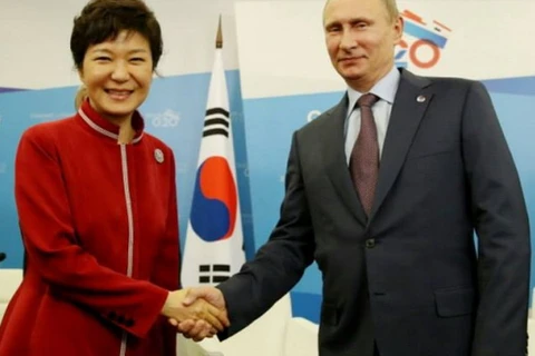 Tổng thống Hàn Quốc Park Geun Hye và Tổng thống Nga Vladimir Putin bắt tay tại cuộc họp G20 tại Moscow. (Nguồn: businesskorea.co.kr)