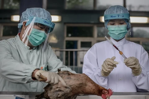 Trung Quốc ghi nhận thêm 4 trường hợp nhiễm H7N9