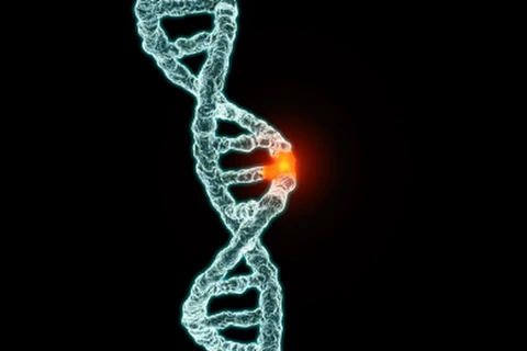 Đột biến gen là nguyên nhân gây ra tâm thần phân liệt. (Nguồn: bionews-tx.com)