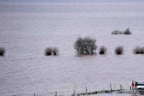 Ngập lụt gần Curload ở Somerset, Tây nam nước Anh. (Nguồn: AFP/TTXVN)