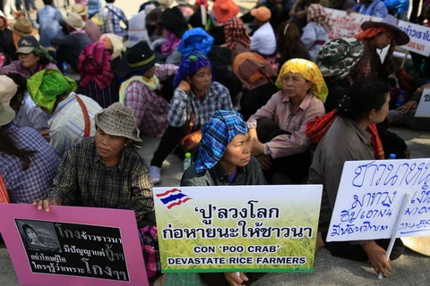Thái Lan: Nông dân hoãn biểu tình, chính phủ có vơi nỗi lo?