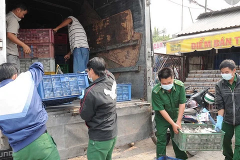 Đoàn công tác Thành phố Hồ Chí Minh kiểm tra trứng vịt, gà chưa qua kiểm dịch. (Ảnh: An Hiếu/TTXVN)