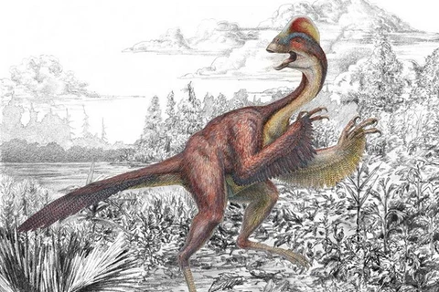 Loài khủng long mới Anzuwyliei. (Nguồn: abc.net.au) 