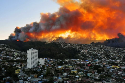 [Photo] Hơn 500 ngôi nhà bị thiêu rụi do cháy rừng tại Chile