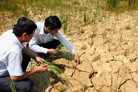 Trung Bộ chủ động đối phó tình trạng thiếu nước, khô hạn