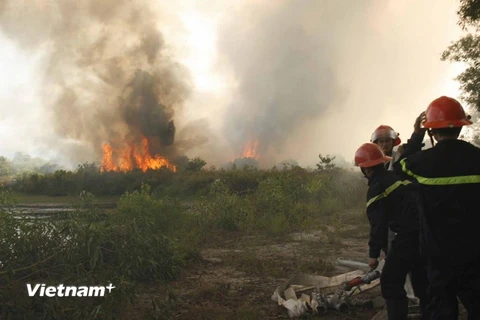 Thừa Thiên-Huế: Cháy khoảng 10ha rừng tại vùng cát Quảng Điền