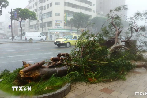 Nhật Bản: Siêu bão tràn qua Okinawa gây đình trệ giao thông