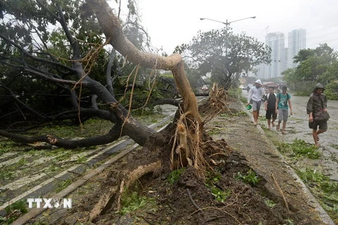 Bão Rammasun làm ít nhất 20 người ở Philippines thiệt mạng