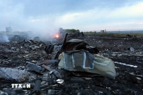 [Video] Hiện trường vụ máy bay Malaysia rơi ở Ukraine