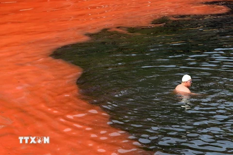 Thủy triều đỏ - "nỗi ám ảnh" của mùa du lịch biển Florida