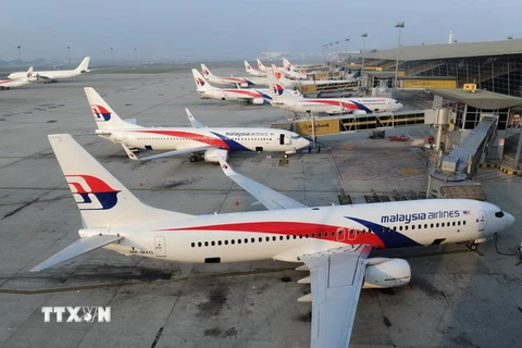 Vụ máy bay MH17: Đã nhận dạng được 16 nạn nhân Malaysia 