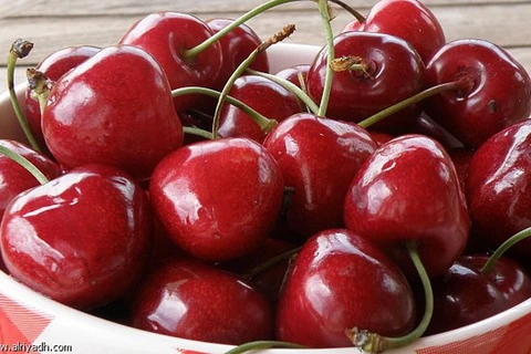 Australia tìm kiếm thị trường xuất khẩu quả cherry ở châu Á
