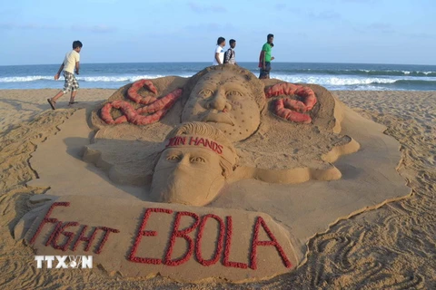 WHO: Cuộc chiến kiểm soát Ebola tiến triển song vẫn gian nan