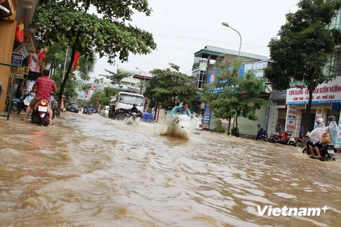 [Video] Đường phố Sơn La biến thành sông sau trận mưa lớn