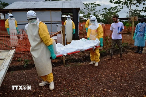 Australia đóng góp 1 triệu AUD cho WHO kiểm soát dịch Ebola