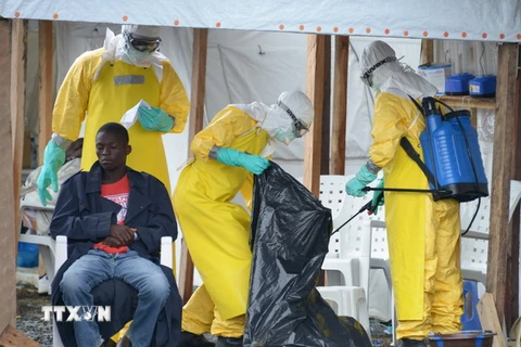 Liên minh châu Phi họp khẩn tìm cách đối phó dịch Ebola