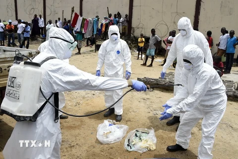Cảnh báo về nguy cơ virus Ebola "nhập cảnh" Pháp và Anh