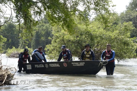 Mexico: Tuần hành yêu cầu làm rõ số phận 43 sinh viên mất tích