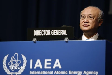 IAEA cam kết ưu tiên hỗ trợ Việt Nam trong lĩnh vực điện hạt nhân