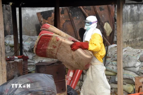 Mali chữa trị thành công cho bệnh nhân Ebola cuối cùng