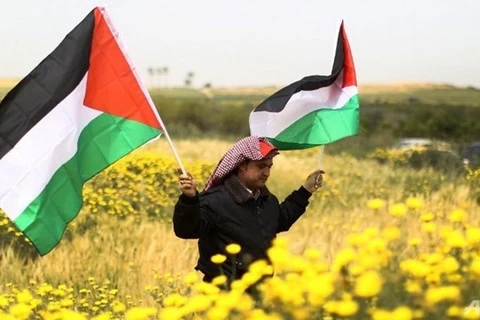 Bỉ chưa sẵn sàng công nhận Nhà nước Palestine ngay lập tức