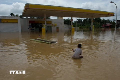 Malaysia: Lũ lụt hoành hành, 160.000 người phải sơ tán
