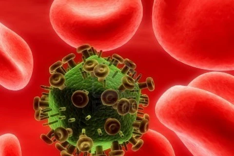 Phát hiện bằng chứng liên quan khả năng tái sinh của virus HIV