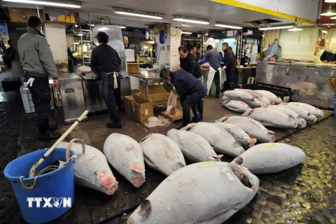 Hàn Quốc cân nhắc bỏ lệnh cấm nhập khẩu hải sản từ Nhật Bản