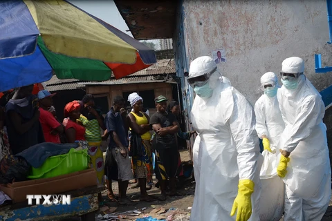 Bắt đầu thử nghiệm hai loại vắcxin phòng Ebola tại Liberia