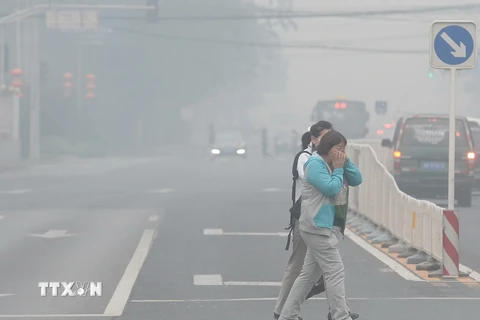 Trung Quốc: Chỉ có 8 thành phố đạt chuẩn về chất lượng không khí