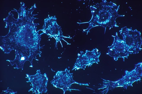 [Video] Tế bào 3D mở ra giải pháp mới đối phó bệnh ung thư