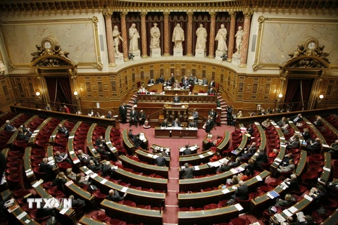 Chính phủ Pháp vượt qua cuộc bỏ phiếu bất tín nhiệm