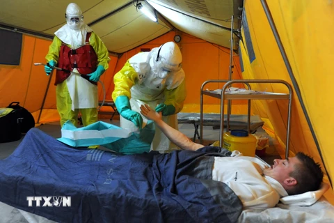 Sierra Leone: Lại có người chết do Ebola sau 2 tháng hết dịch