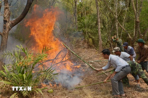 Cháy rừng liên tiếp ở Cao Bằng vì người dân đốt vàng mã
