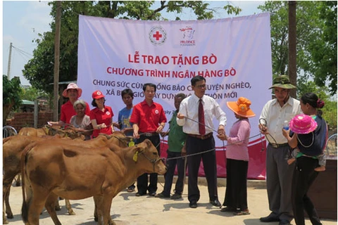 Prudential Việt Nam tặng 150 con bò cho các hộ gia đình khó khăn