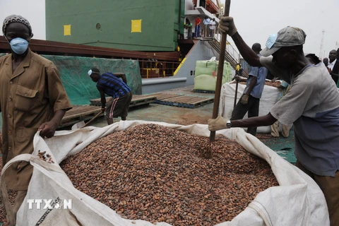 Indonesia kêu gọi giảm thuế nhập khẩu cacao vào châu Âu