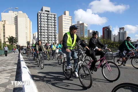 Người dân Brazil đạp xe hưởng ứng Ngày không xe hơi thế giới nhằm nâng cao nhận thức của cộng đồng trong việc bảo vệ môi trường, chống biến đổi khí hậu toàn cầu. (Nguồn: THX/TTXVN)